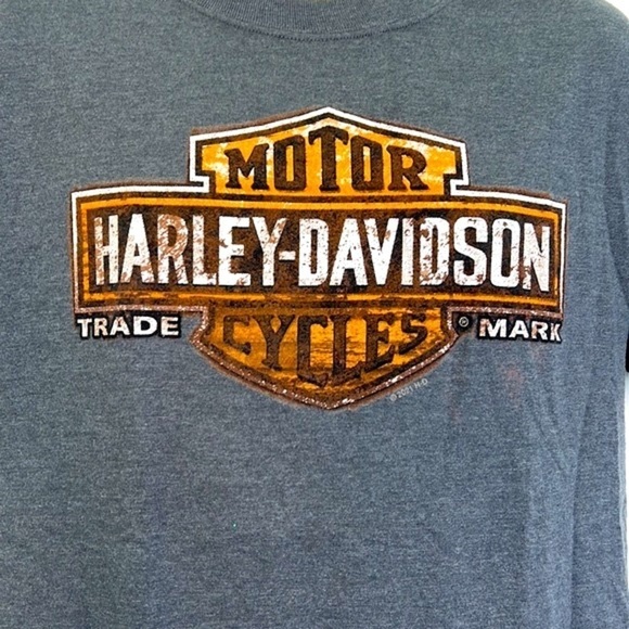 Harley Davidson - Eureka Springs Arkansas With Hog Gray Short Sleeve Shirt Med - Picture 3 of 10